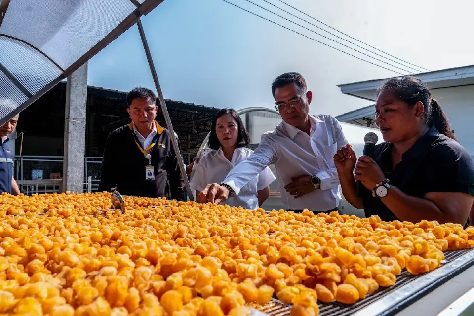 พลังงานชูแคมเปญ “กินพี่...แล้วหมีหนาว” ปั้น “ลำไยอบแห้งสีทอง”กู้โลกด้วยพลังงานสะอาด