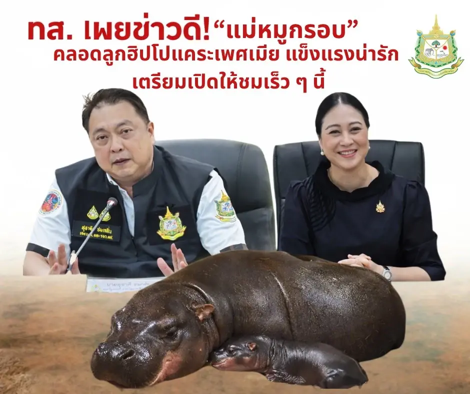 "แม่หมูกรอบ" คลอดแล้ว หลานสาวหมูเด้งตัวตึงใหม่ สวนสัตว์โคราช (มีคลิป)