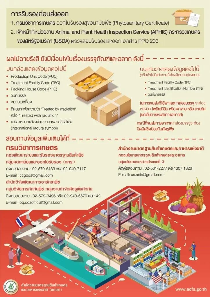 USDA ไฟเขียว! มังคุดไทยล็อตแรกปี 69 คาดถึงมือผู้บริโภคชาวสหรัฐ ปลายเม.ย.นี้