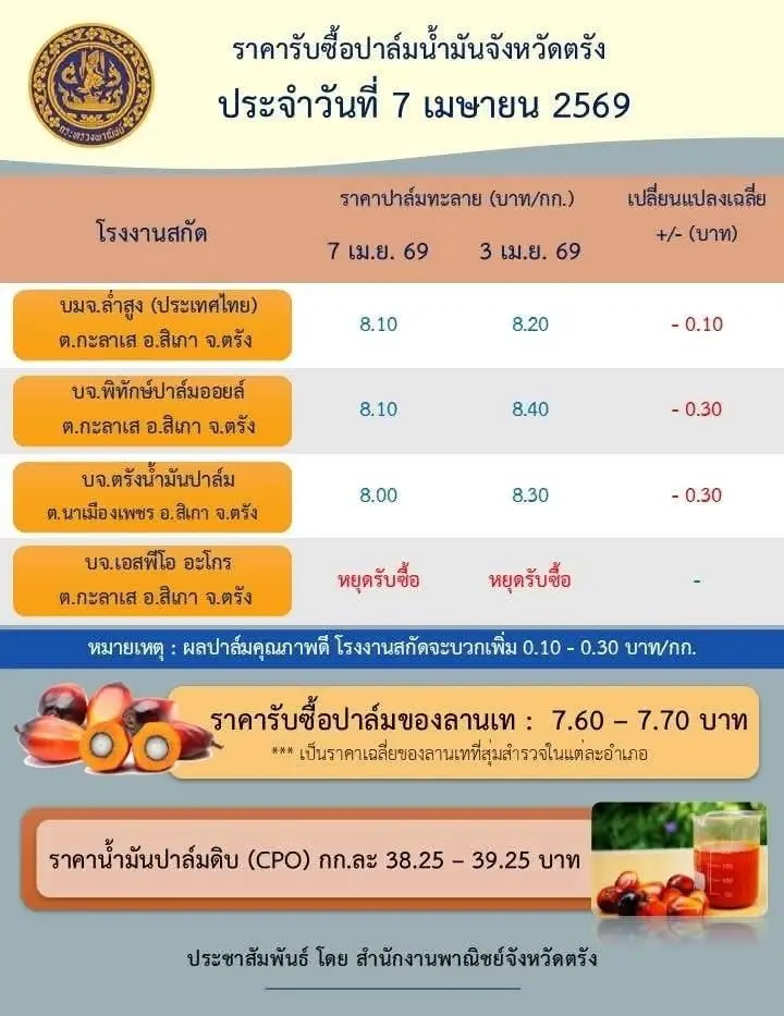 ดีเดย์ งดส่งออกน้ำมันปาล์มวันแรก ราคาไม่สะดุด ยังพุ่ง 9 บาท/กก.