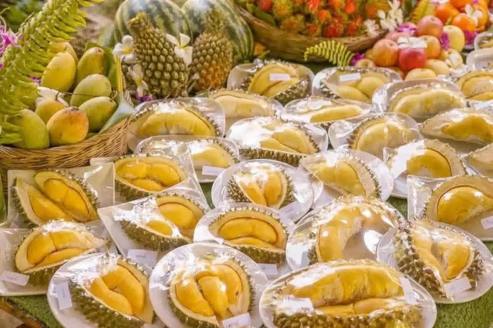 เปิดพิกัด'บุฟเฟ่ต์ทุเรียน 2569' กรุงเทพ ระยอง จันทบุรี กินไม่อั้นหนึ่งปีมีครั้งเดียว