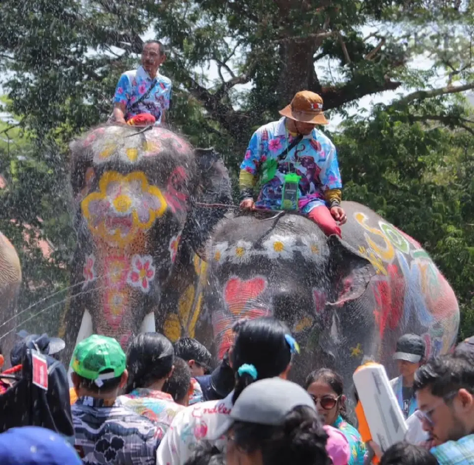 สงกรานต์อยุธยา เล่นน้ำกับช้าง