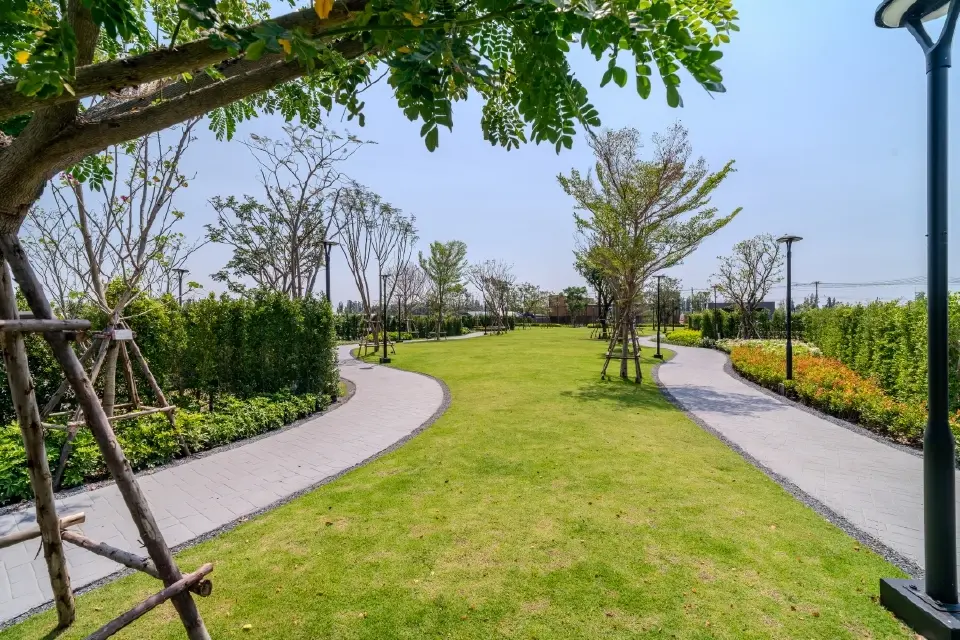 ‘ดี-แลนด์’รุก Wellbeing Real Estate  ปั้นบ้านหรูรับเทรนด์อนาคต