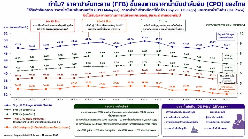 ทำไมราคาปาล์มทะลาย ขึ้นลงตามราคาน้ำมันปาล์มดิบ (CPO) ของไทย