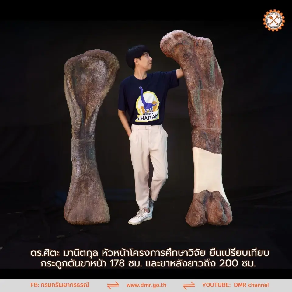ดร.ศิตะ มานิตกุล นักวิจัยจาก ศูนย์วิจัยและการศึกษาบรรพชีวินวิทยา มหาวิทยาลัยมหาสารคาม PRC MSU