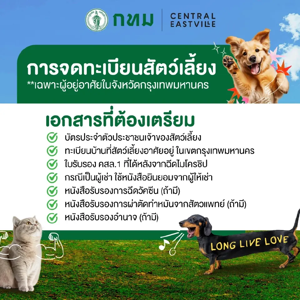 กทม. ชวนฝังไมโครชิป-จดทะเบียนสัตว์เลี้ยงฟรี วันละ 150 คิว