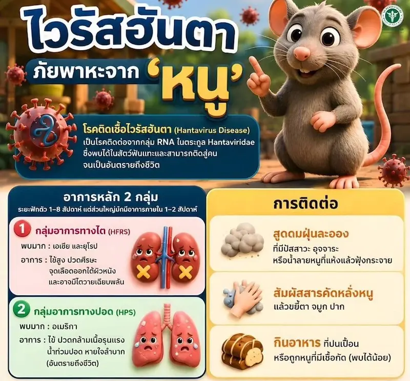 กระทรวงสาธารณสุข ยกระดับเฝ้าระวังไวรัสฮันตา 