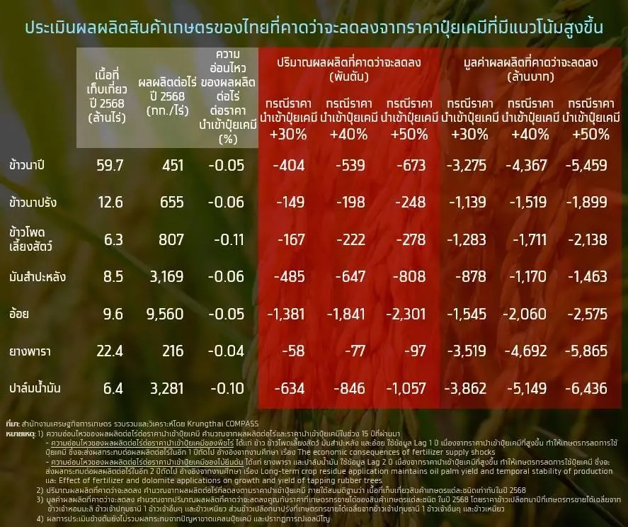 ไทยเสี่ยง ‘ปุ๋ยขาดตลาด’ พ.ค.นี้ สงครามดันต้นทุนพุ่ง 40% ข้าวไทยจ่อเสียหาย 5.9 พันล้าน