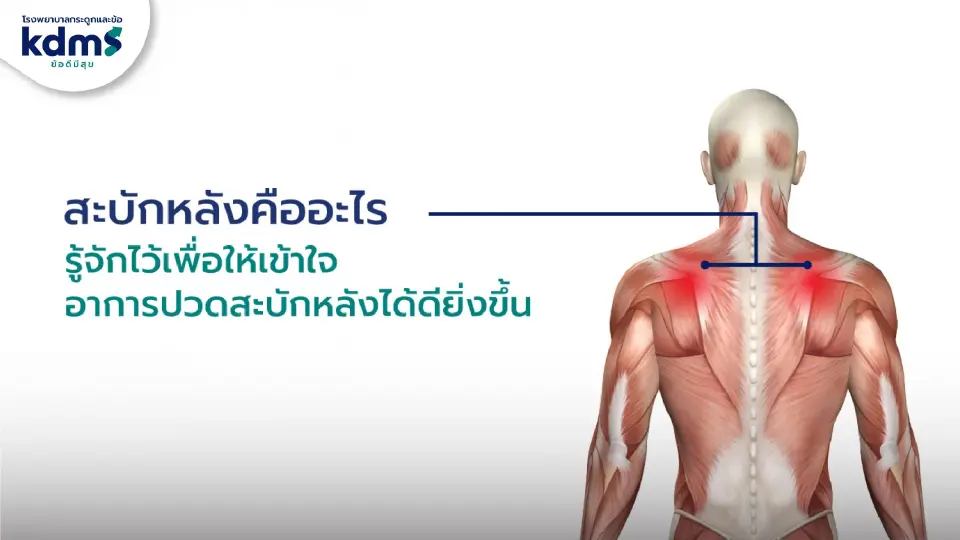 ‘สะบักจม ปวดร้าว’ สาเหตุและวิธีบรรเทา