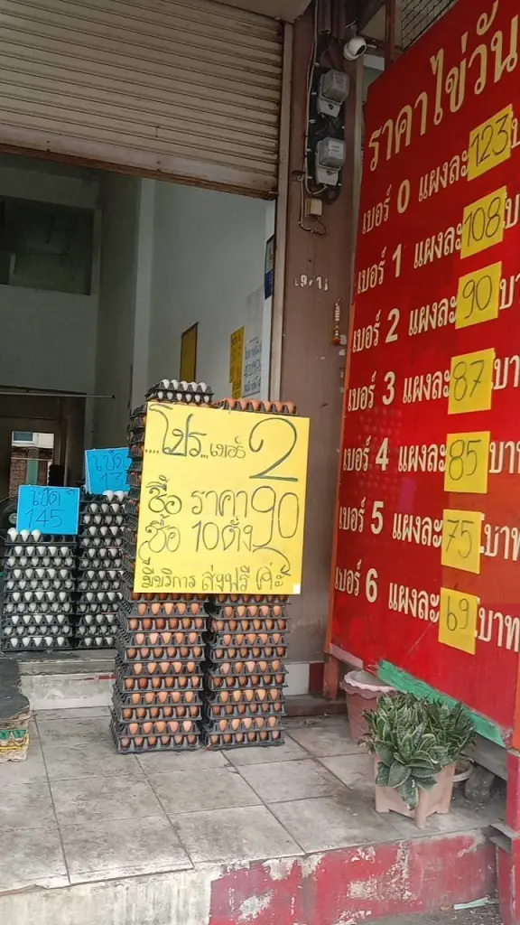 ราคาไข่ไก่ วันนี้ (9 พ.ค.69) จัดราคาโปร ไข่ไก่เบอร์ 2 