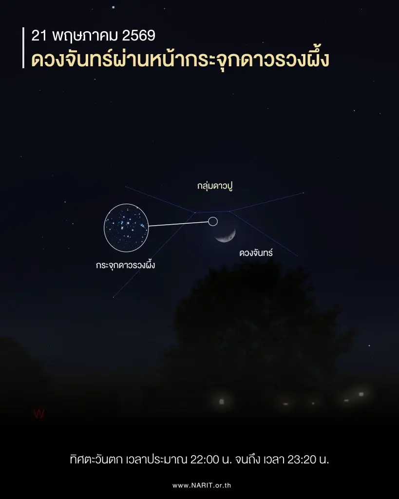 คืนนี้ 21 พ.ค.2569 ชวนดู "ดวงจันทร์ผ่านหน้ากระจุกดาวรวงผึ้ง"