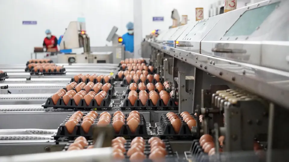 ปั้นโมเดล Farm to Table ขายไข่ผ่านตู้ Vending ตั้งเป้า 10,000 จุดทั่วไทย