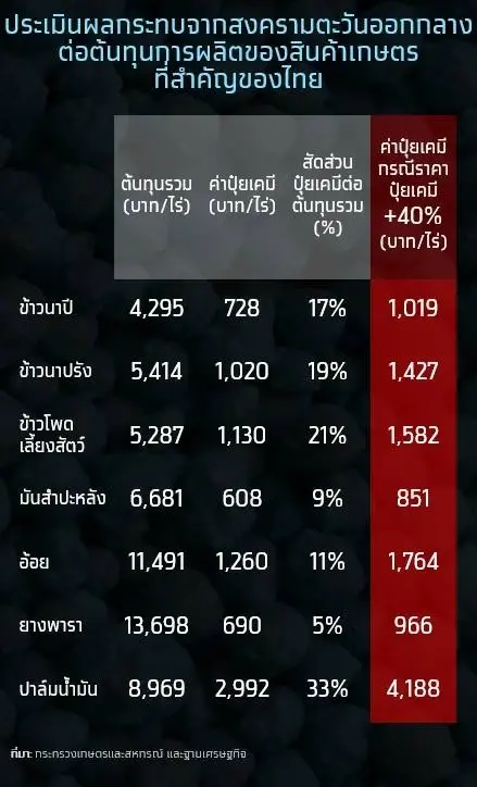 ไทยเสี่ยง ‘ปุ๋ยขาดตลาด’ พ.ค.นี้ สงครามดันต้นทุนพุ่ง 40% ข้าวไทยจ่อเสียหาย 5.9 พันล้าน