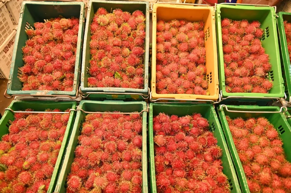 พาณิชย์ดึงตลาดกลางทั่วไทย ดูดซับผลไม้ 1 ล้านตัน พยุงราคาเกษตรกร