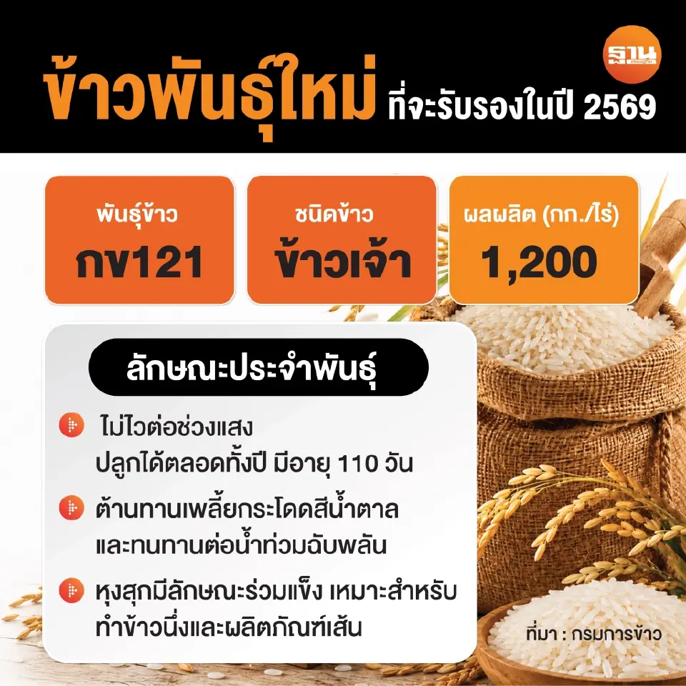 พันธุ์ข้าว กข121