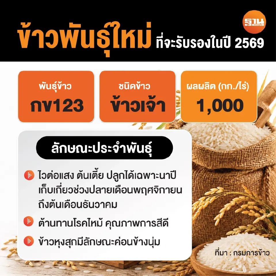 พันธุ์ข้าวกข 123