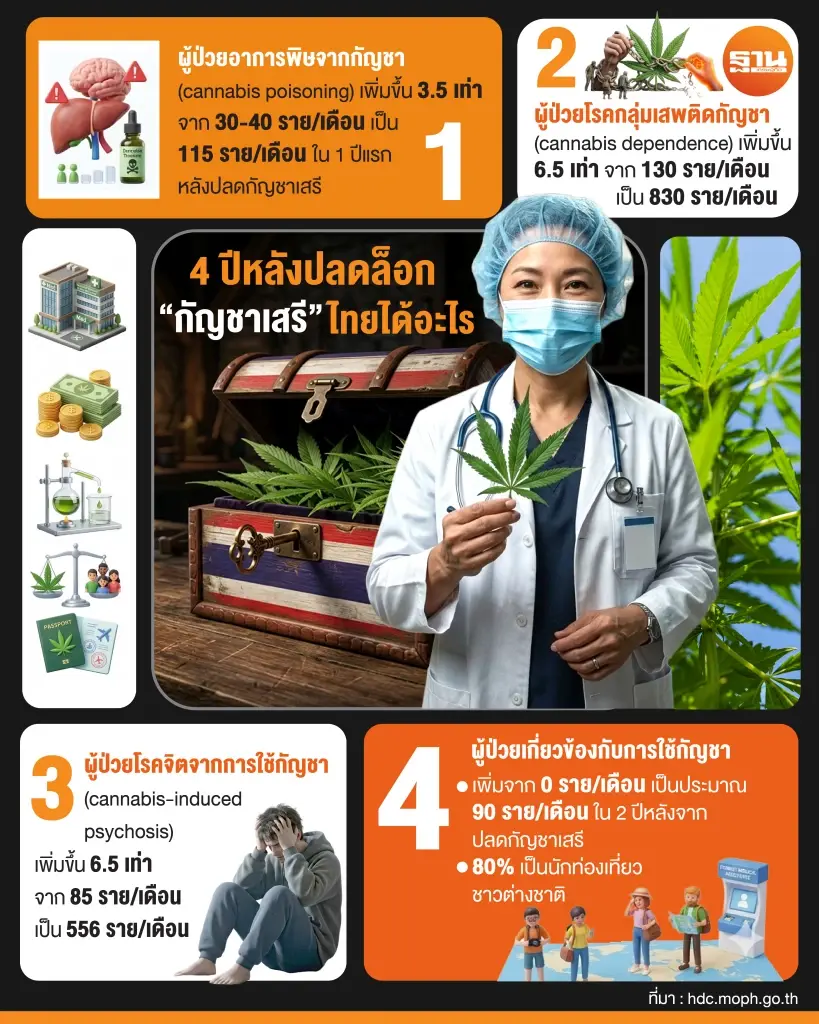 4 ปี เส้นทางปลดล็อก “กัญชา” สู่เสรีภาพ ไทยเผชิญวิกฤตด้านสุขภาพ-สังคม