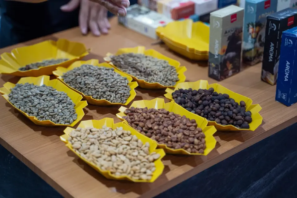 เมล็ดกาแฟคุณภาพที่ผ่านการคัดแยกและแปรรูป เพื่อยกระดับมาตรฐานกาแฟไทย