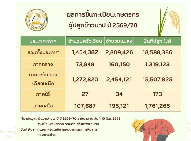 เช็กเลย พันธุ์ข้าวใหม่ 2569 กรมการข้าวเตรียมรับรอง 4 สายพันธุ์เด่น ผลผลิตสูงสุด 1.2 ตันต่อไร่