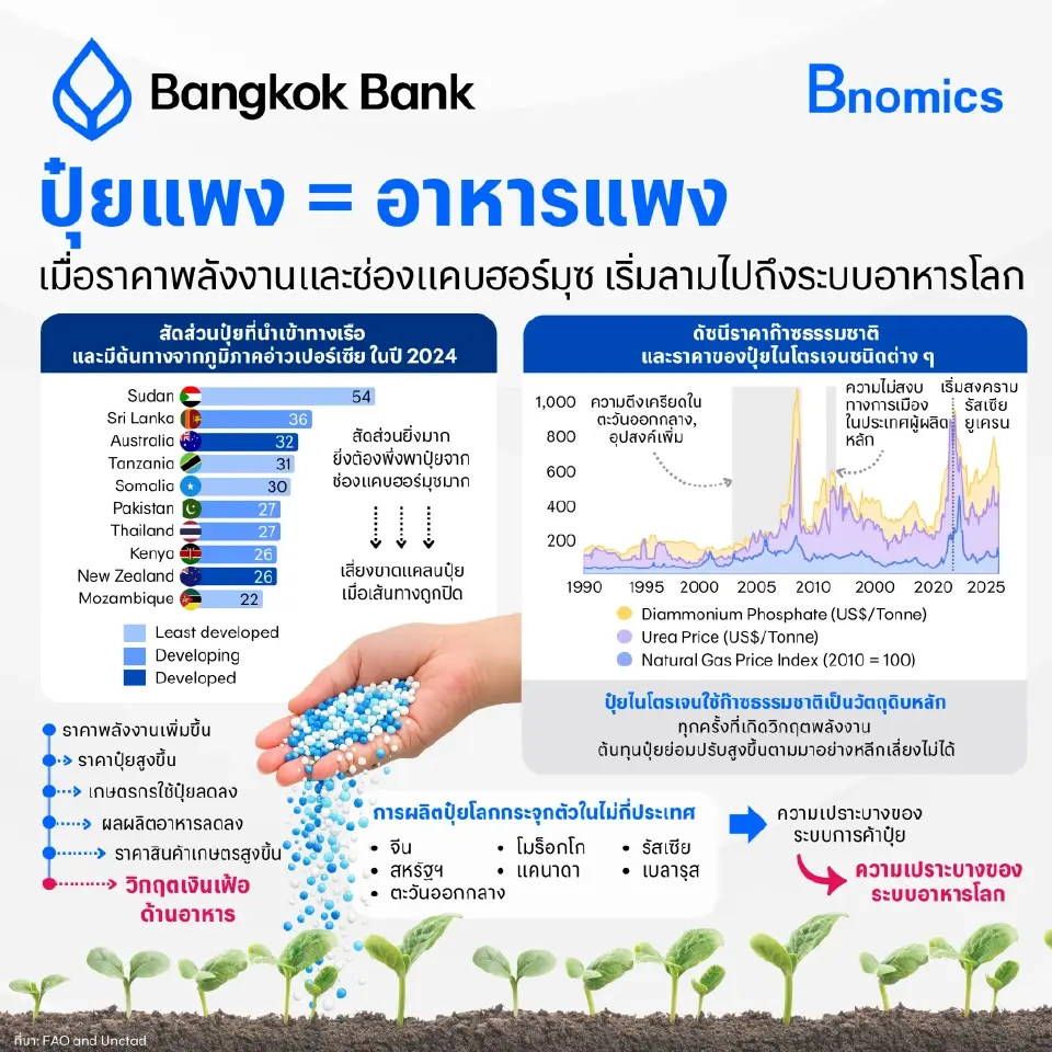 ปุ๋ยแพง = อาหารแพง เมื่อราคาพลังงาน เริ่มลามไปถึงระบบอาหารของโลก