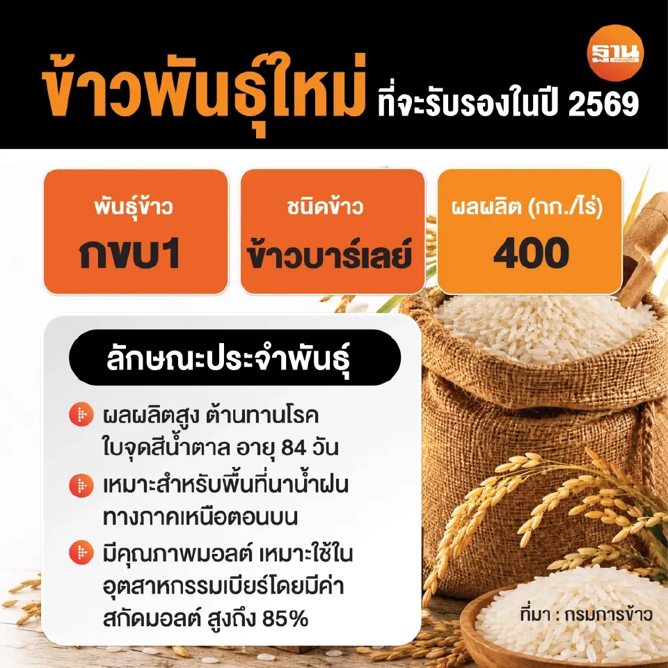 พันธุ์ข้าว กขบ1 หรือข้าวบาร์เลย์ 