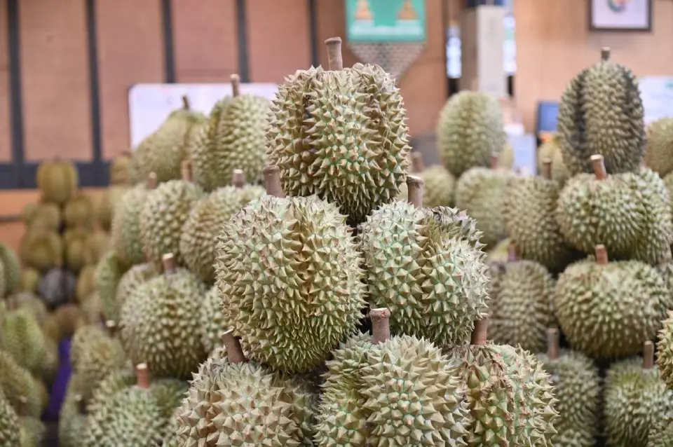 พาณิชย์ดึงตลาดกลางทั่วไทย ดูดซับผลไม้ 1 ล้านตัน พยุงราคาเกษตรกร