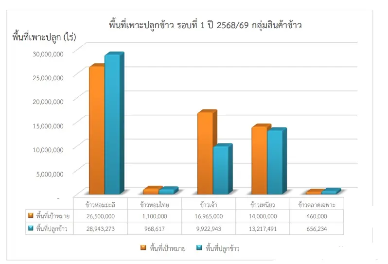 เช็กเลย พันธุ์ข้าวใหม่ 2569 กรมการข้าวเตรียมรับรอง 4 สายพันธุ์เด่น ผลผลิตสูงสุด 1.2 ตันต่อไร่