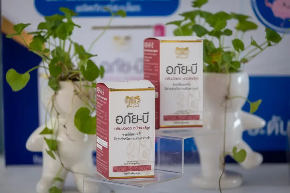 อภัยภูเบศรเปิดผลวิจัย“กลีบบัวแดง”ช่วยหลับลึก-หลับนาน ฟื้นฟูสมอง 