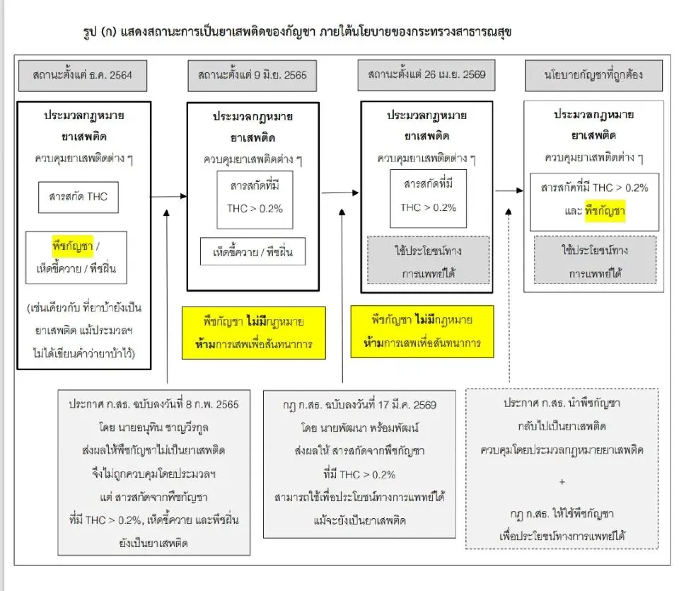 4 ปี เส้นทางปลดล็อก “กัญชา” สู่เสรีภาพ ไทยเผชิญวิกฤตด้านสุขภาพ-สังคม