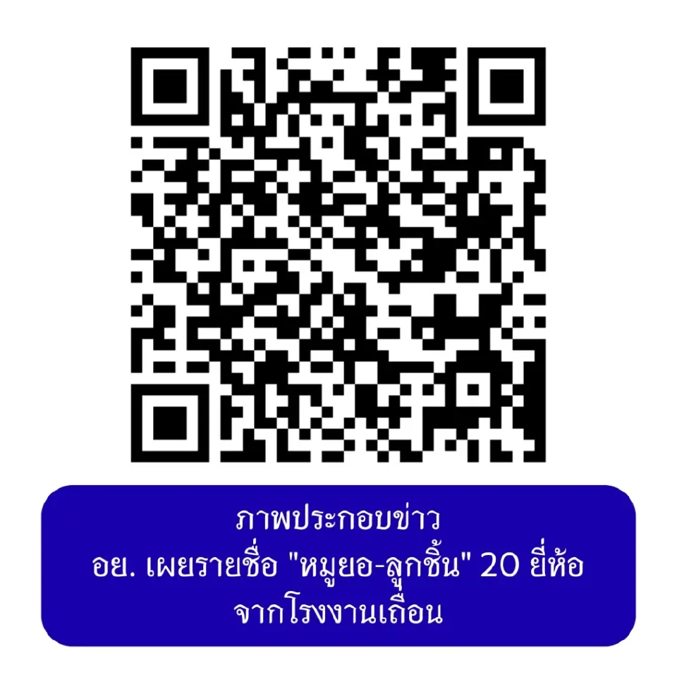 20 รายชื่อ ลูกชิ้น-หมูยอปลอม จากโรงงานเถื่อน