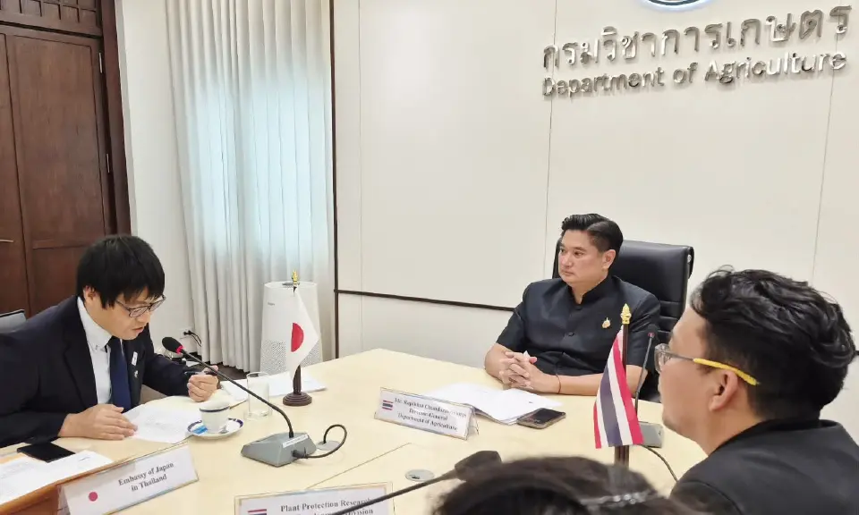 ข่าวดีเกษตรกร หลังญี่ปุ่นปลดล็อกส้มโอไทย 2 สายพันธุ์ใหม่ "ขาวน้ำผึ้ง-ทับทิมสยาม" ขยายตลาดผลไม้