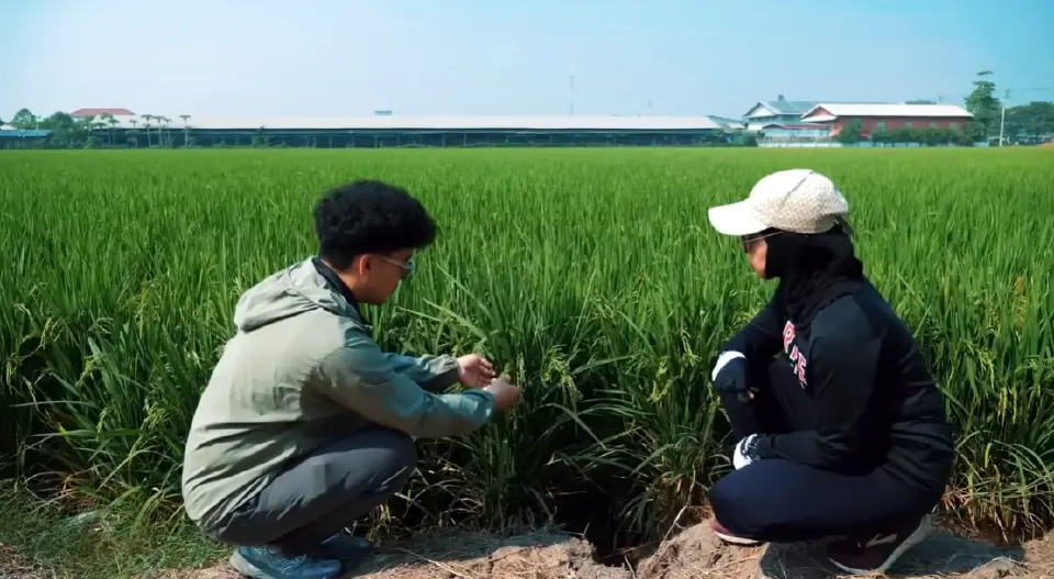 ‘เจียไต๋’ 105 ปี พลิกบทบาทสู่ผู้นำโซลูชัน ยกระดับเกษตรกรไทยสู่มืออาชีพ