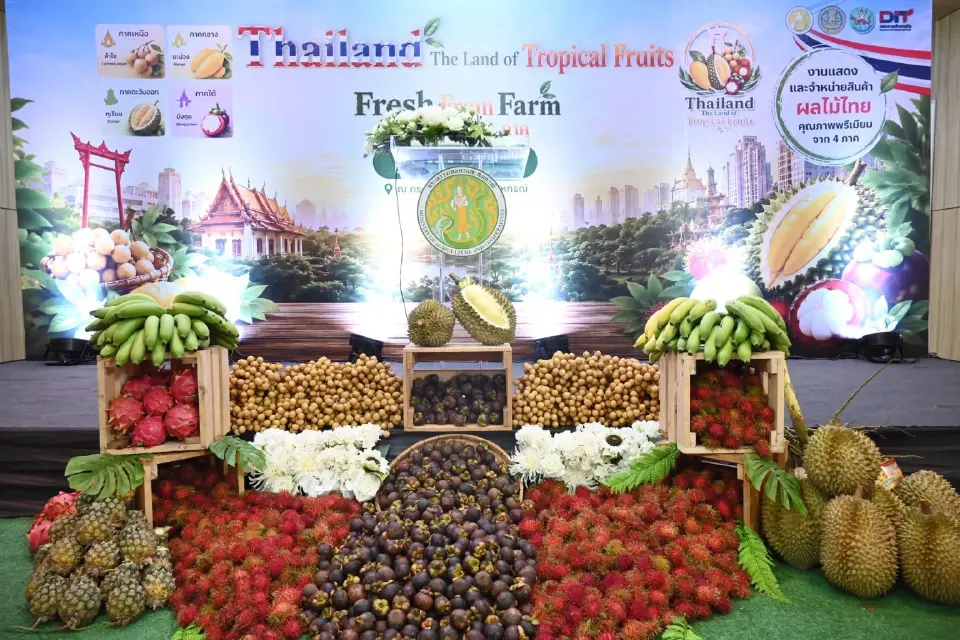 ผลไม้ 4 ภาค 