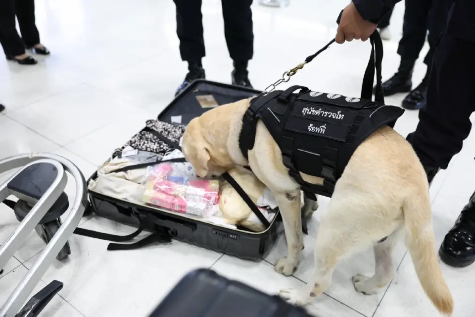 ทอท. ร่วมมือกับตำรวจนำสุนัข K-9 สกัดกั้นลักลอบลำเลียงยาเสพติด ที่สนามบินสุวรรณภูมิ
