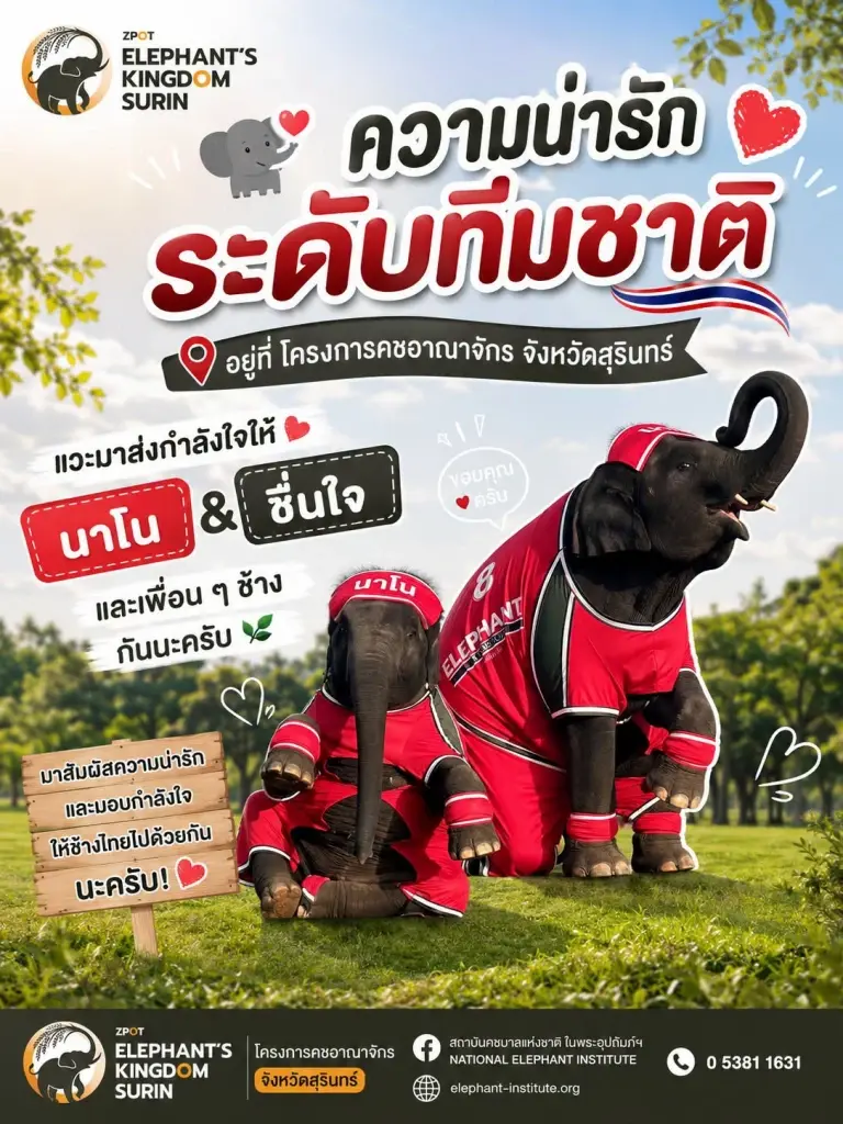 คชอาณาจักร Elephant Kingdom