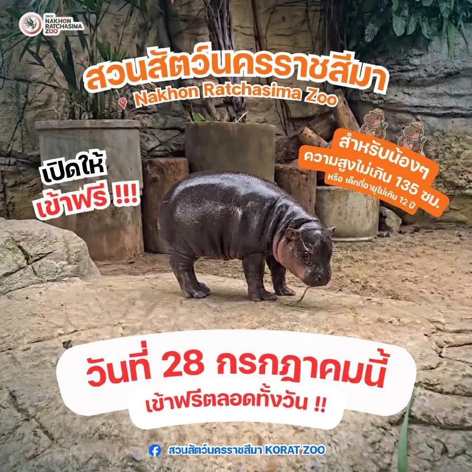 สวนสัตว์นครราชสีมา เปิดให้เข้าชมฟรี 28 ก.ค.69 