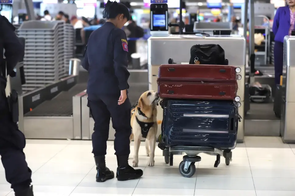 AOT ยกระดับความปลอดภัยสนามบินสุวรรณภูมิ ผนึก K-9 สกัดลักลอบขนยาเสพติด