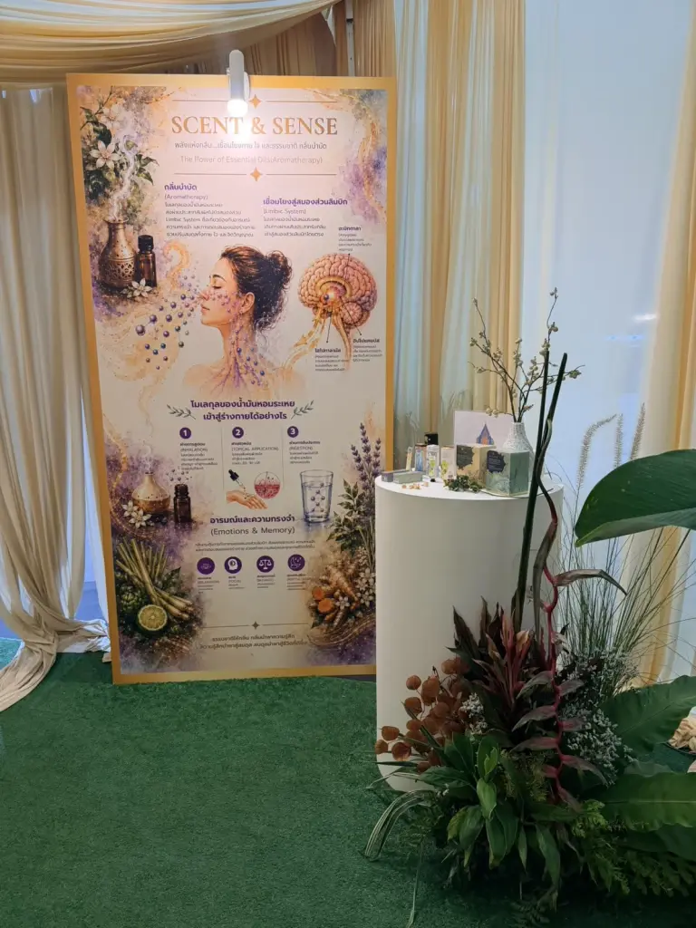 อินโฟกราฟิก Scent &amp; Sense อธิบายกลไก Aromatherapy เชื่อมโยงสมองส่วน Limbic System อารมณ์ และความจำผ่านน้ำมันหอมระเหย
