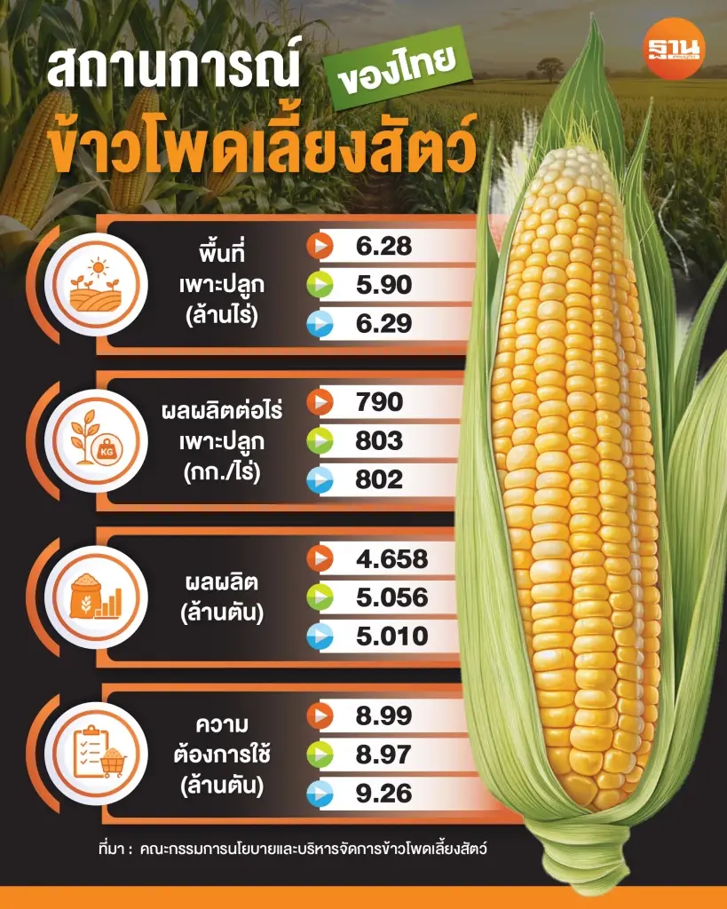 สถานการณ์ข้าวโพดในประเทศไทย ฤดูการผลิต  2569/ 70
