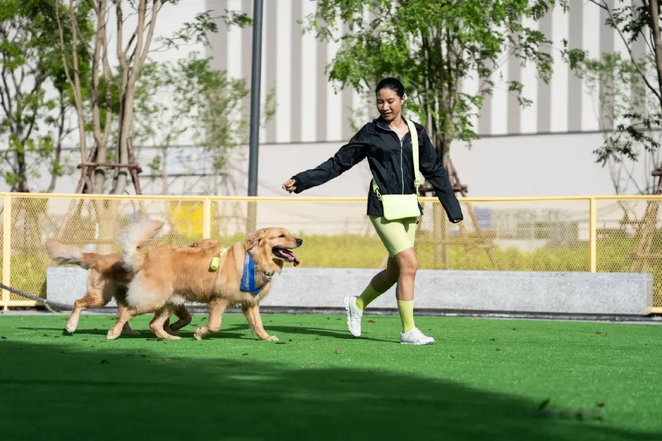 เซ็นทรัล นอร์ทวิลล์ มิกซ์ยูสที่หลอมรวมธรรมชาติ กีฬา อาหาร ศิลปะ และคอมมูนิตี้