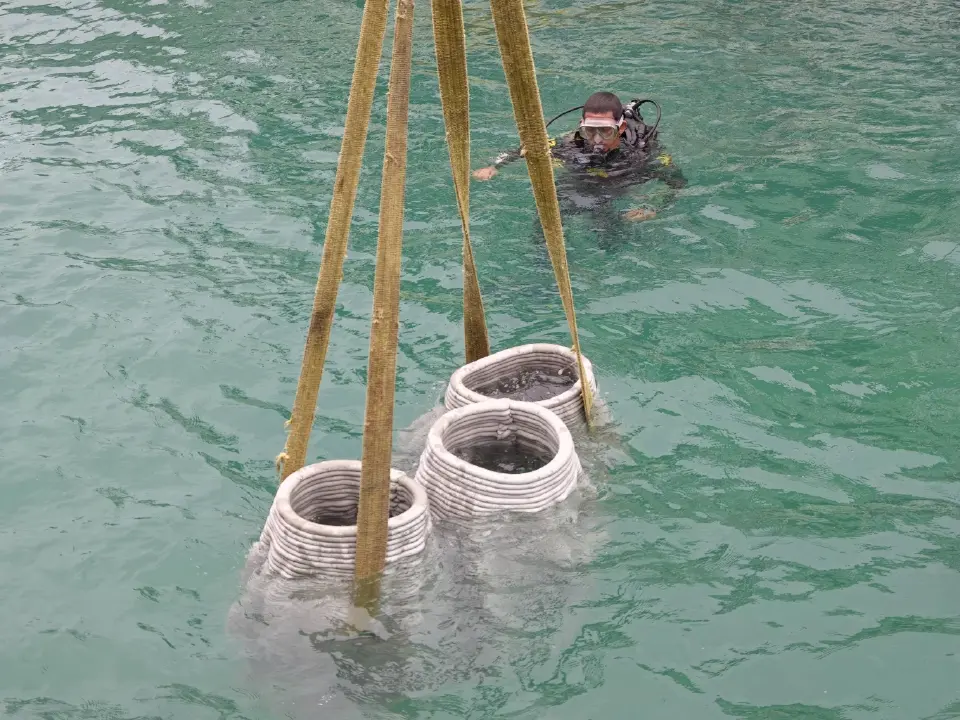 ททท.หนุนฟื้นฟูทะเลไทย คืนบ้านให้ปะการัง ฝูงปลา ด้วย SCG 3D Printing