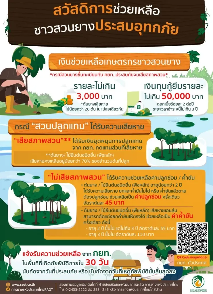 สวัสดิการเงินช่วยเหลือเกษตรกรชาวสวนยางน้ำท่วม