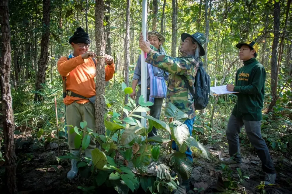 TOA ผนึกมูลนิธิแม่ฟ้าหลวงฯ ฟื้นป่า 6,000 ไร่ มุ่งสู่เป้า Net Zero