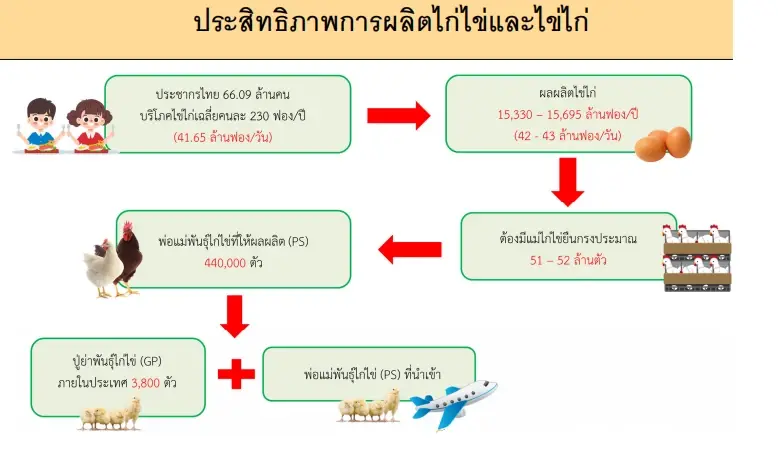 ไข้หวัดนกระบาดทั่วโลก ไทยวางแผน PS ปี 70 คุมเสี่ยง-บาลานซ์ไข่ไก่