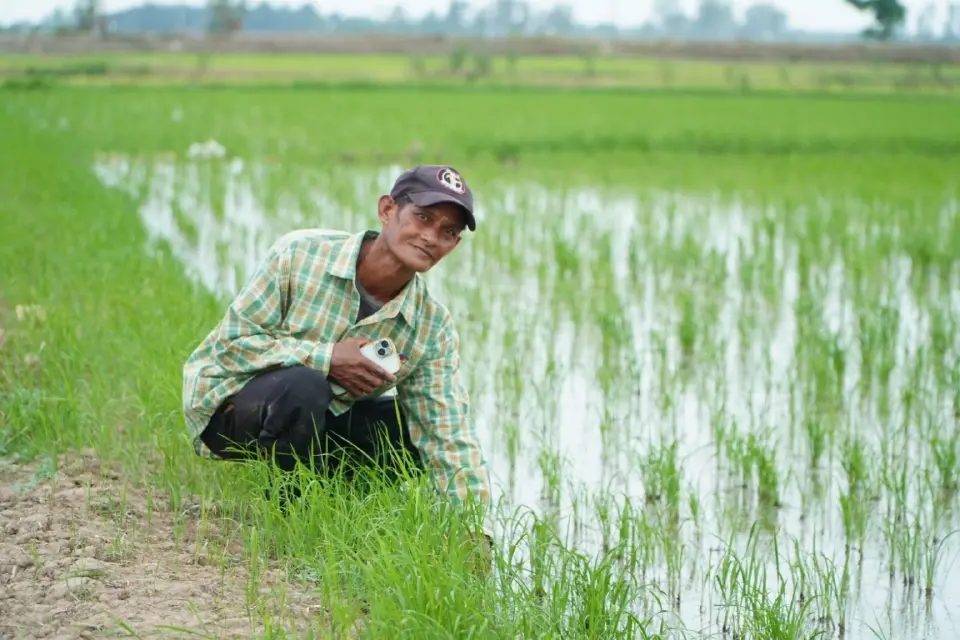 เปิดโมเดลเกษตรลด PM2.5 ‘ย่อยฟางด้วยจุลินทรีย์’ ลดเผา ฟื้นดิน ลดต้นทุน