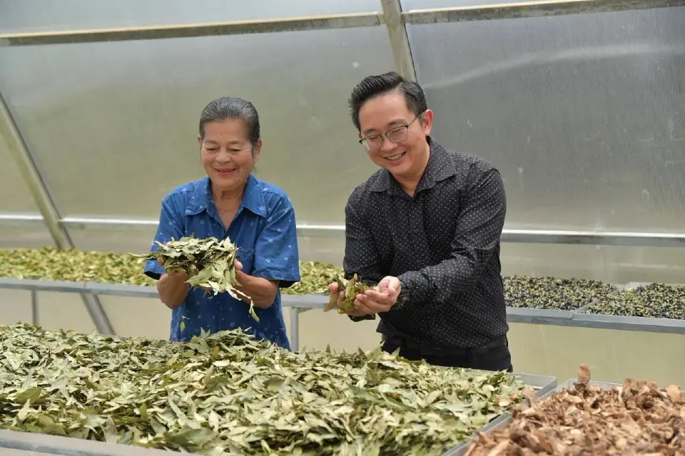 พลังงานลุยโซลาร์อ่างทอง ลดต้นทุนเกษตรกว่า 1.8 แสนบาท/ปี ครอบคลุม 240 ไร่