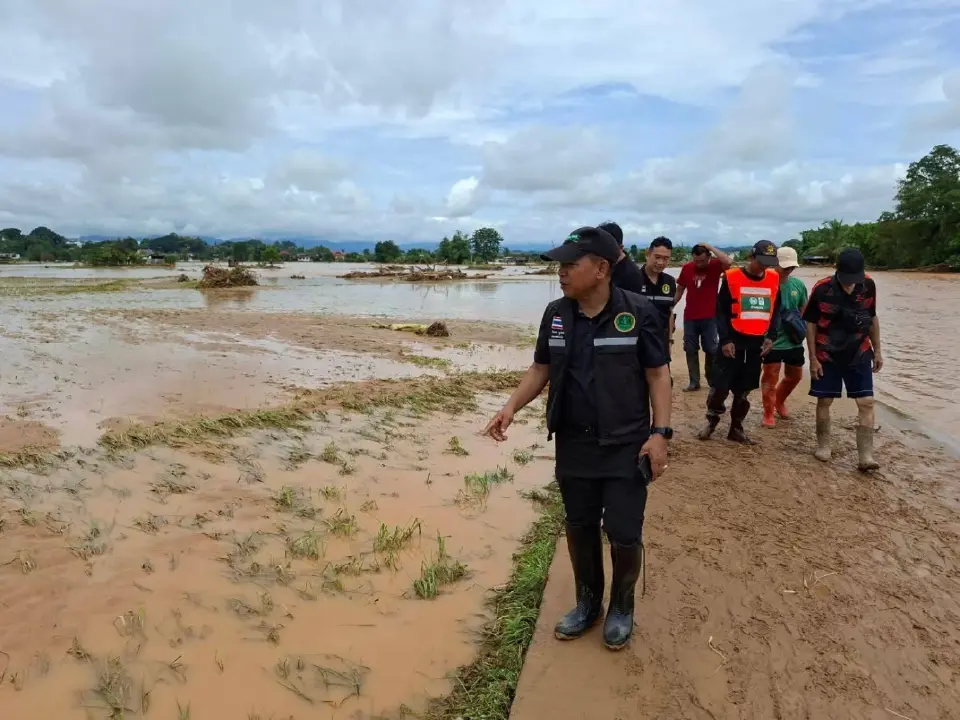 นาข้าว
