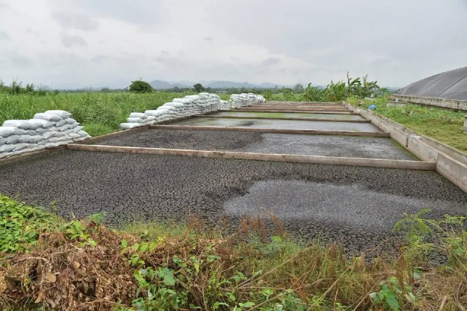 เปิดโมเดล ‘มูลหมูสร้างเงิน’ ลพบุรี ดันก๊าซชีวภาพป้อน 480 ครัวเรือน โกยคาร์บอนเครดิต 3.47 ล้าน
