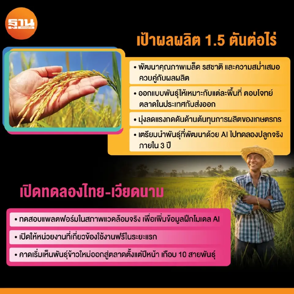 EASYRICE ดึง AI พัฒนาพันธุ์ข้าวใหม่ ตั้งเป้าผลผลิต 1.5 ตันต่อไร่