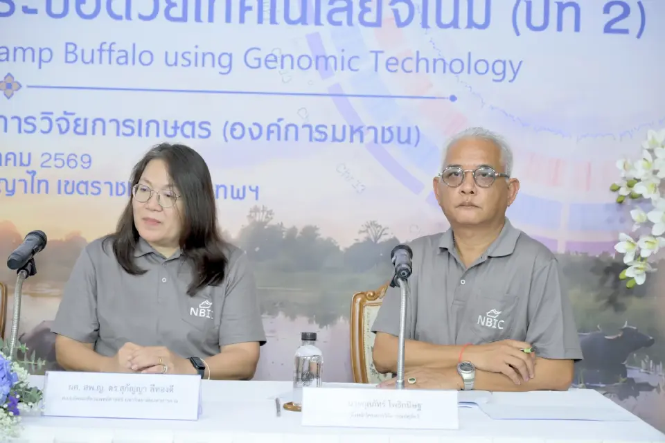 ‘กระบือไทย’ เข้าสู่ยุคจีโนม ปศุสัตว์สร้างฐานพันธุกรรมชาติ ดันคัดพันธุ์แม่นยำ